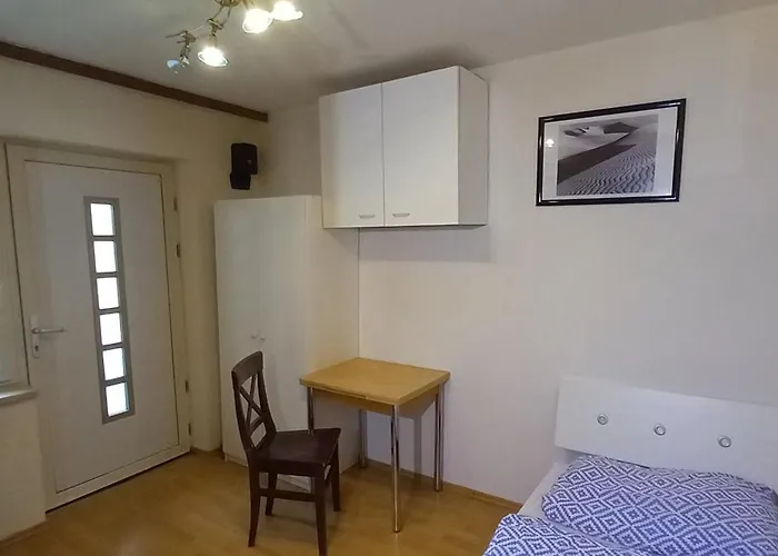 Apartament Topwohnung 45m2 Oder Weisses Budget 15 M2 - Naehe Gruenberg Gmunden